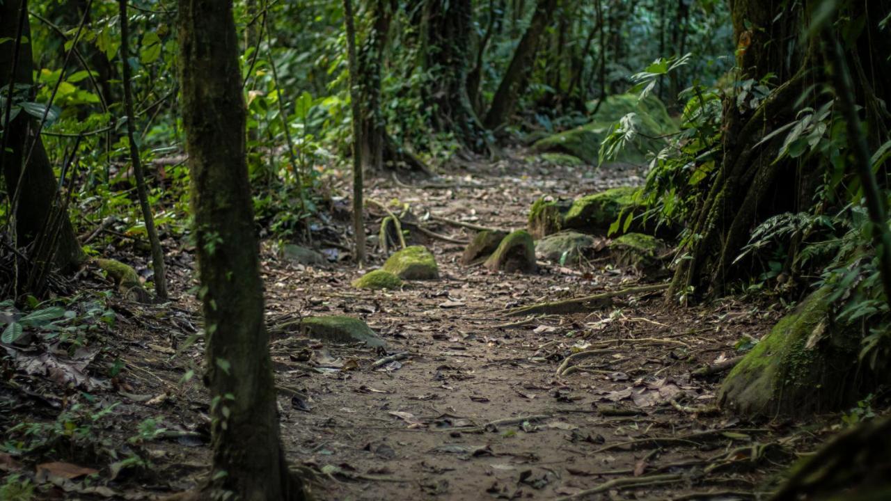Hotel Rancho Cerro Azul La Fortuna Ngoại thất bức ảnh