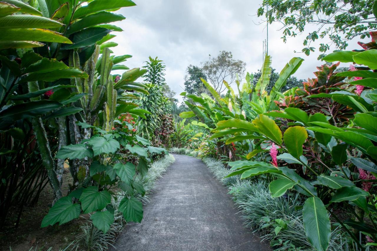 Hotel Rancho Cerro Azul La Fortuna Ngoại thất bức ảnh
